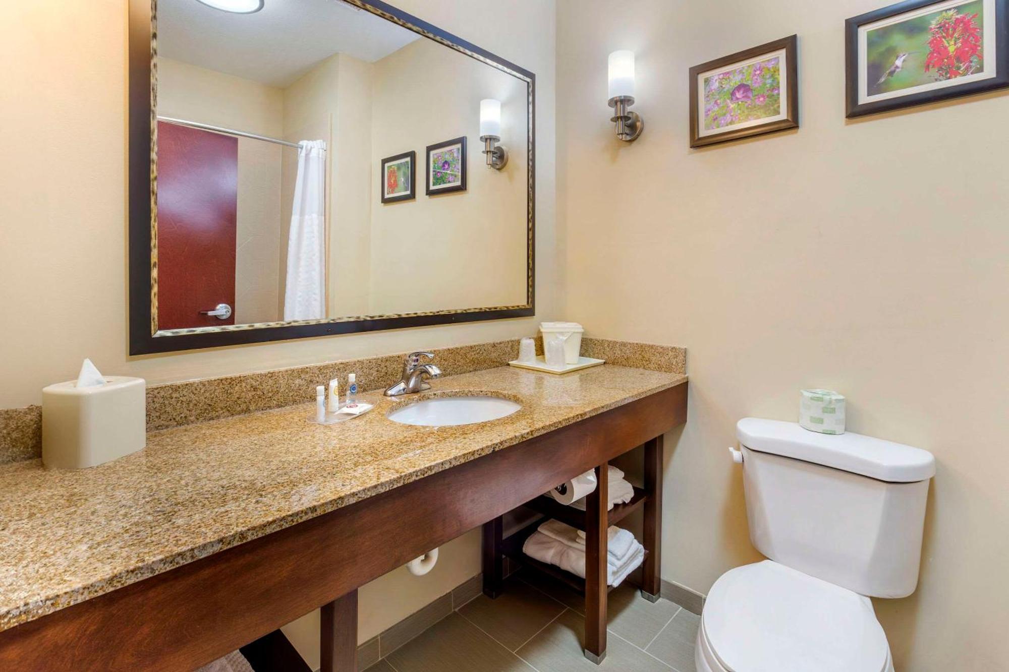 Comfort Suites Wilson - I - 95 Экстерьер фото